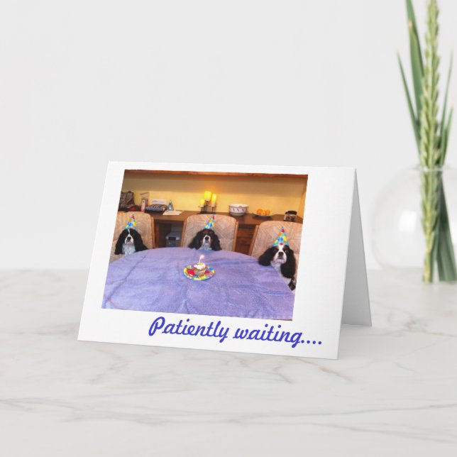 Cavalier Birthday Wishes Card (Front)