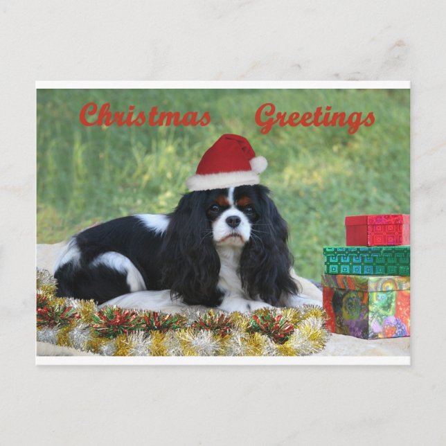 Cavalier Christmas Card (Front)