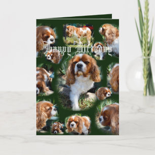 Cavalier Dog Photo Collage Happy Birthday, Card