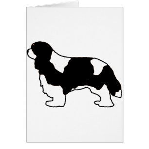 Cavalier King Charles black and white silo