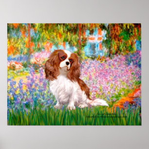 Cavalier King Charles (Blenheim) - Garden Poster
