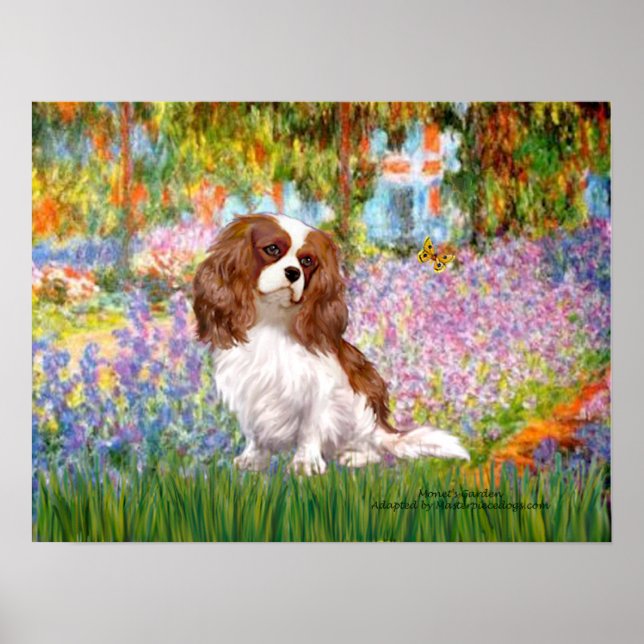 Cavalier King Charles (Blenheim) - Garden Poster (Front)