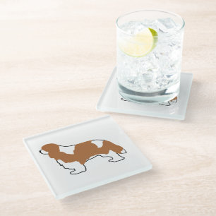 Cavalier King Charles blenheim silo Glass Coaster