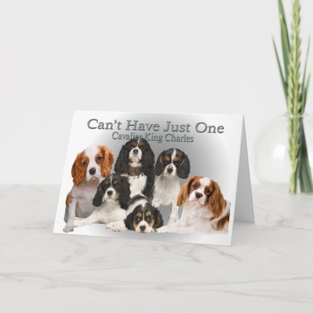 Cavalier King Charles Can't Have Just One gifts Holiday Card (Front)