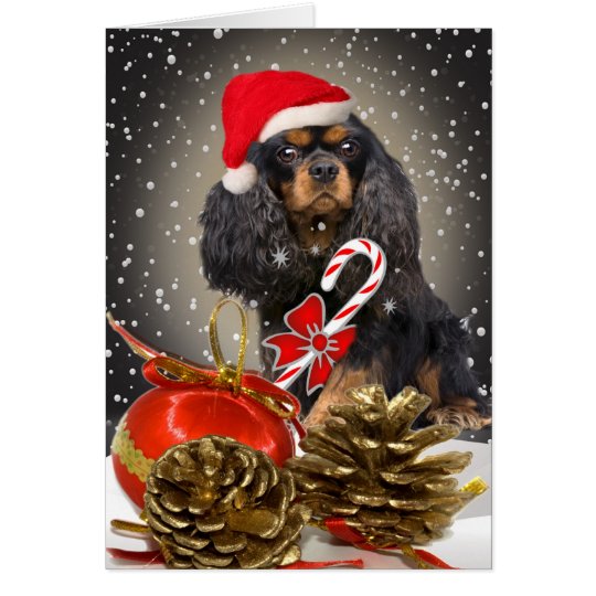 Cavalier King Charles Christmas card