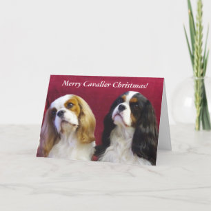 Cavalier King Charles Christmas Card