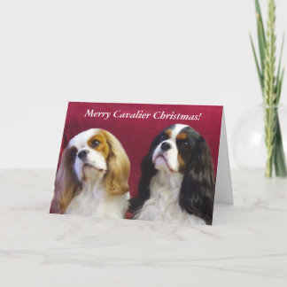Cavalier King Charles Christmas Card