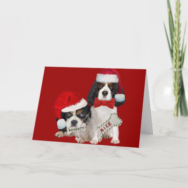 Cavalier King Charles Christmas Naughty or Nice Holiday Card (Front)