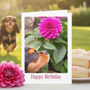Cavalier King Charles Dahlia Birthday Card
