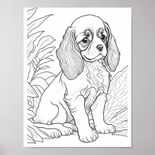Cavalier King Charles Dog Adult Colouring Poster