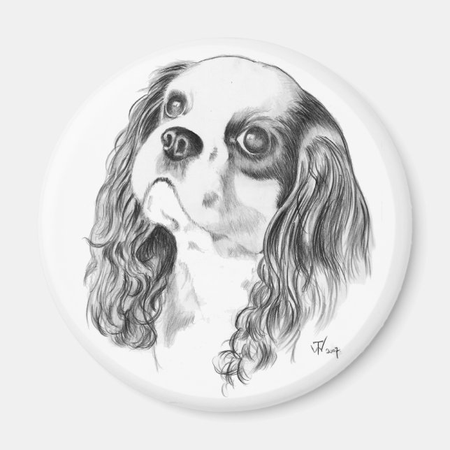 Cavalier King Charles Drawing Magnet (Front)