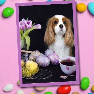 Cavalier King Charles Easter Tulips Eggs Card