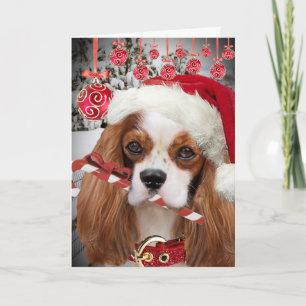 Cavalier King Charles Merry Christmas Cards