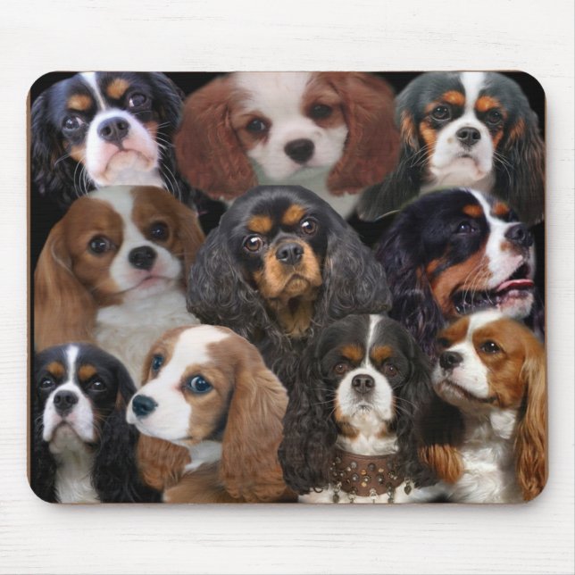 Cavalier King Charles mousepad (Front)
