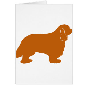 Cavalier King Charles ruby silo