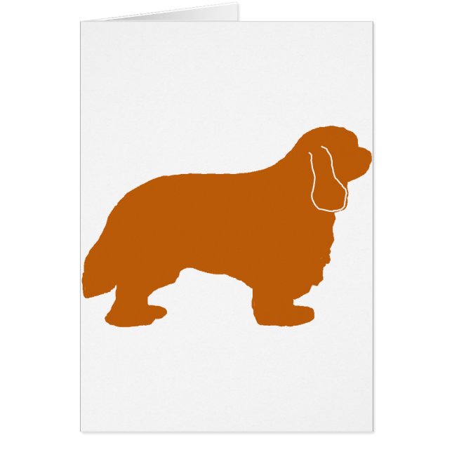 Cavalier King Charles ruby silo (Front)