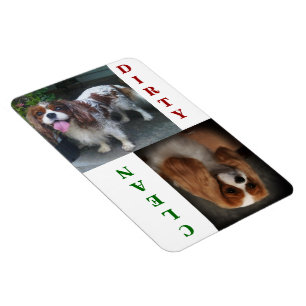 Cavalier King Charles Scarlet Dishwasher Magnet