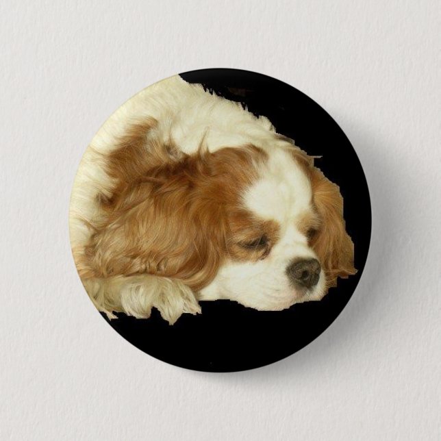CAVALIER KING CHARLES SLEEPING 6 CM ROUND BADGE (Front)