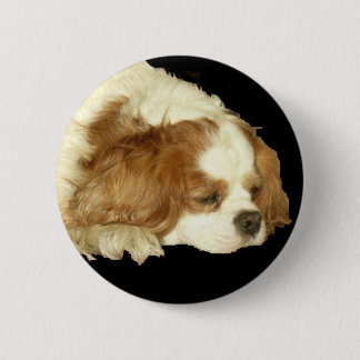 CAVALIER KING CHARLES SLEEPING 6 CM ROUND BADGE