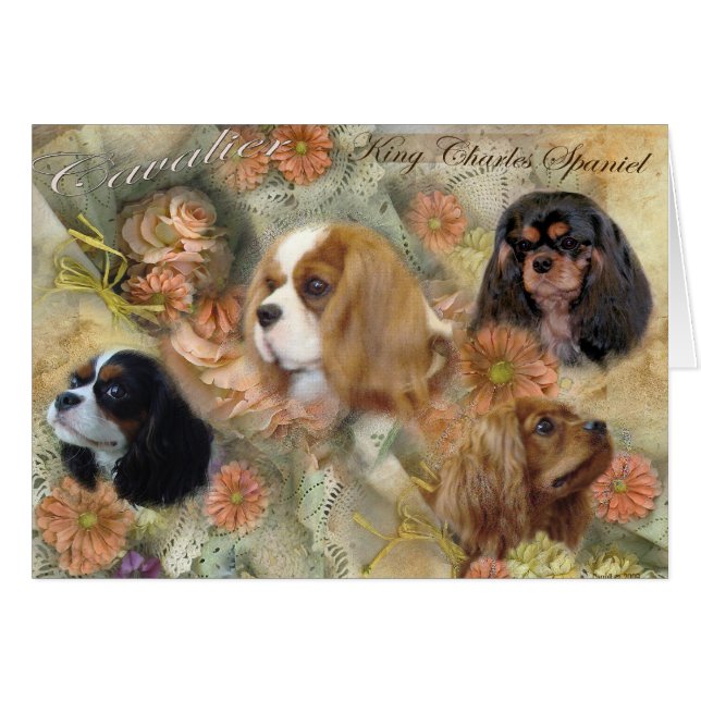 Cavalier King Charles Spaniel (Front Horizontal)