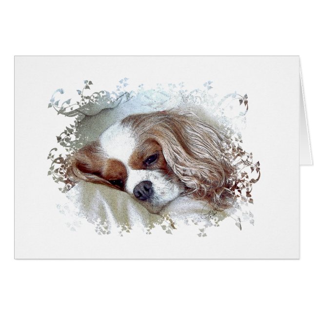 Cavalier King Charles Spaniel (Front Horizontal)