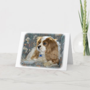 Cavalier King Charles Spaniel 8R16D-01 Card