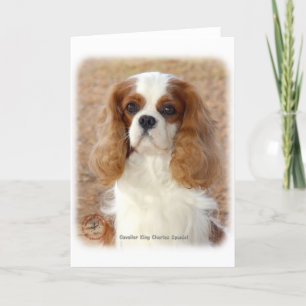 Cavalier King Charles Spaniel 9L005D-08 Card