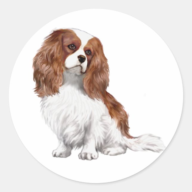 Cavalier King Charles Spaniel (A) - Blenheim 1 Classic Round Sticker (Front)