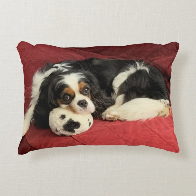 Cavalier King Charles Spaniel Accent Pillow (Front)