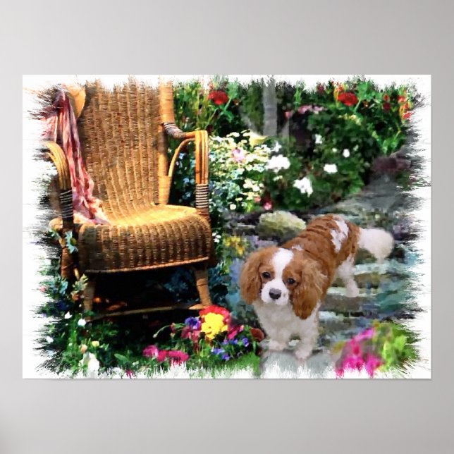 Cavalier King Charles Spaniel Art Poster (Front)