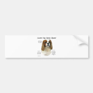 Cavalier King Charles Spaniel (Blenheim) History Bumper Sticker