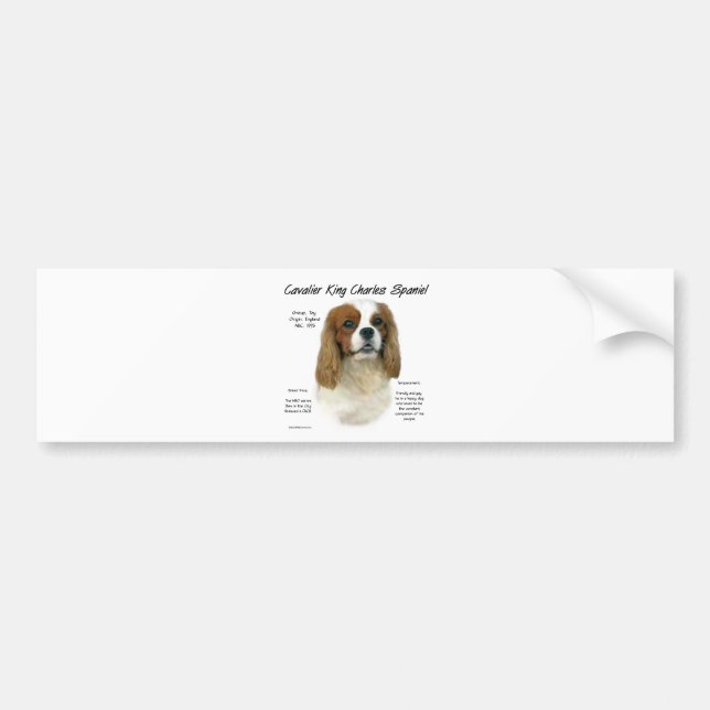 Cavalier King Charles Spaniel (Blenheim) History Bumper Sticker (Front)