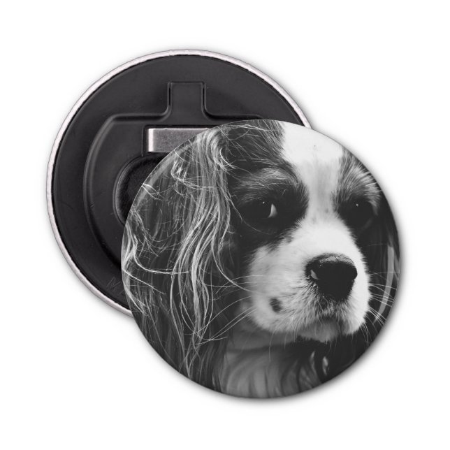 Cavalier King Charles Spaniel Bottle Opener (Front)