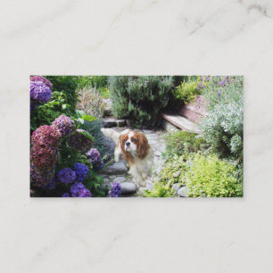 Cavalier King Charles Spaniel Breede Business Card