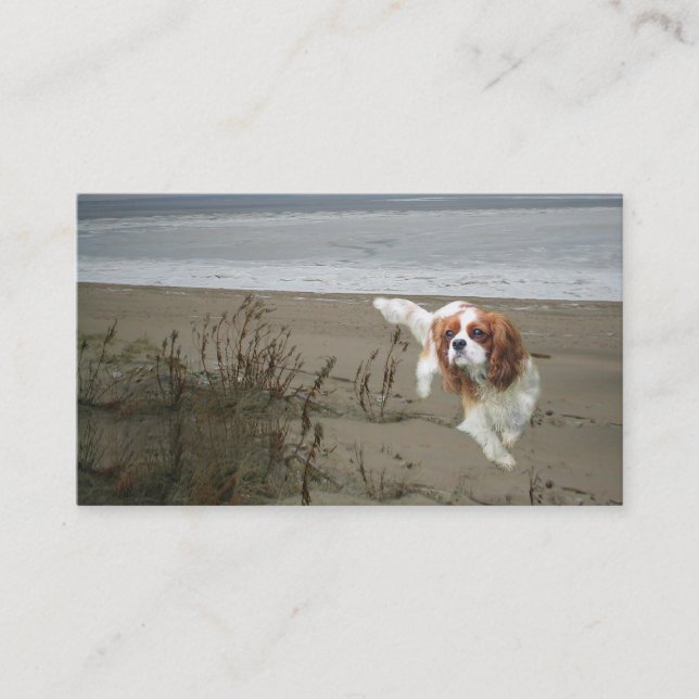 Cavalier King Charles Spaniel Breede Business Card (Front)