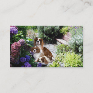 Cavalier King Charles Spaniel Breede Business Card