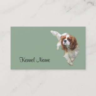 Cavalier King Charles Spaniel Breeder Business Car Card