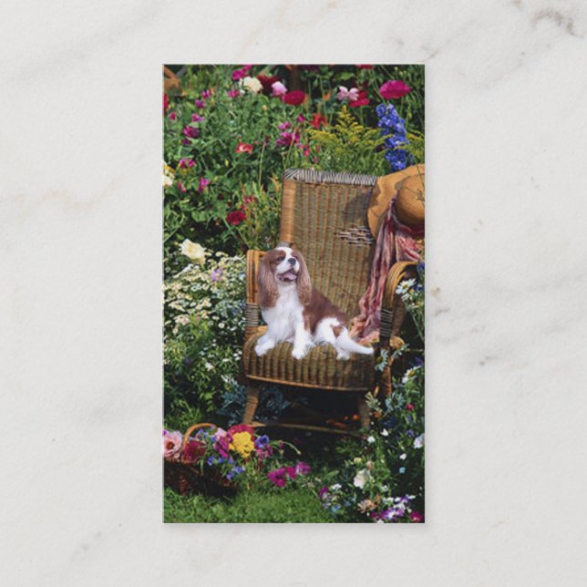 Cavalier King Charles Spaniel BreederBusiness Card (Front)
