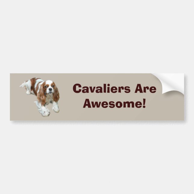 Cavalier King Charles Spaniel Bumper Sticker (Front)