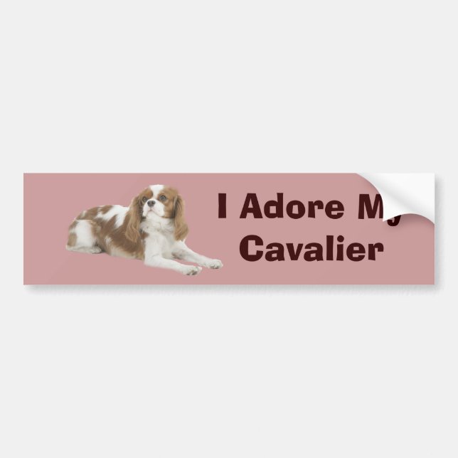 Cavalier King Charles Spaniel Bumper Sticker (Front)