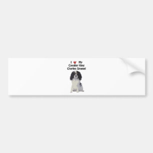 Cavalier King Charles Spaniel Bumper Sticker