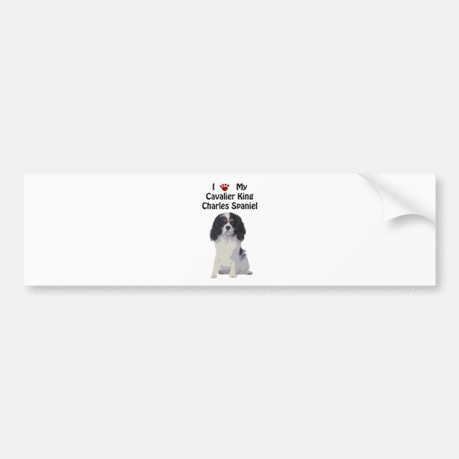 Cavalier King Charles Spaniel Bumper Sticker (Front)