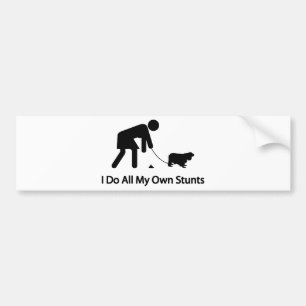 Cavalier King Charles Spaniel Bumper Sticker