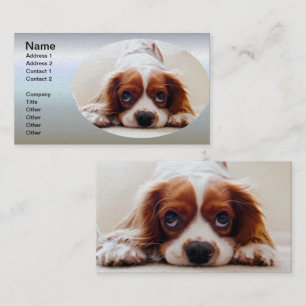 Cavalier King Charles Spaniel Business Card