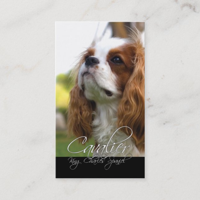 Cavalier King Charles Spaniel Business Cards (Front)