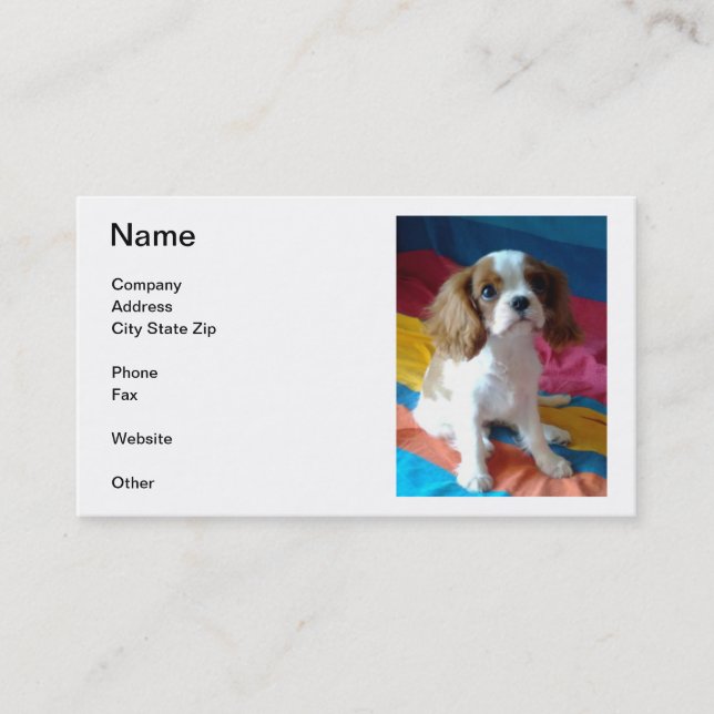 Cavalier King Charles Spaniel Business Cards (Front)