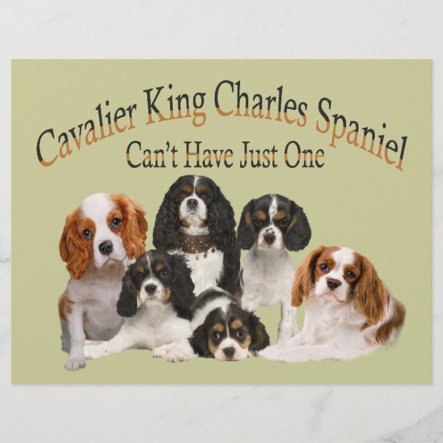 Cavalier King Charles Spaniel Can't Have Just One (Front)