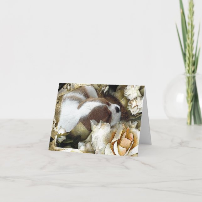 Cavalier King Charles Spaniel Card (Front)