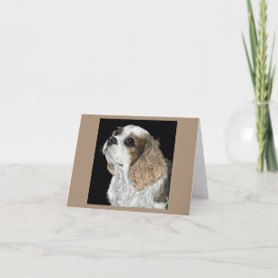 Cavalier King Charles Spaniel Card - Max