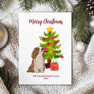 Cavalier King Charles Spaniel Christmas Card